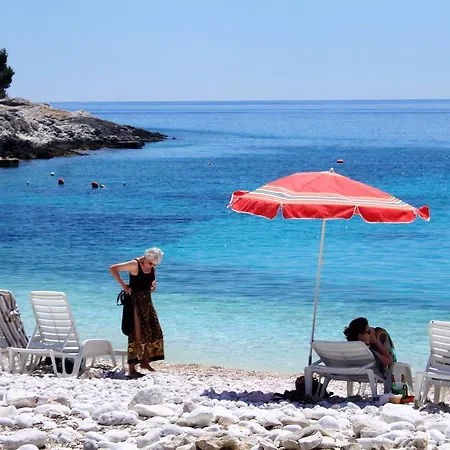 Studio Hvar 591c